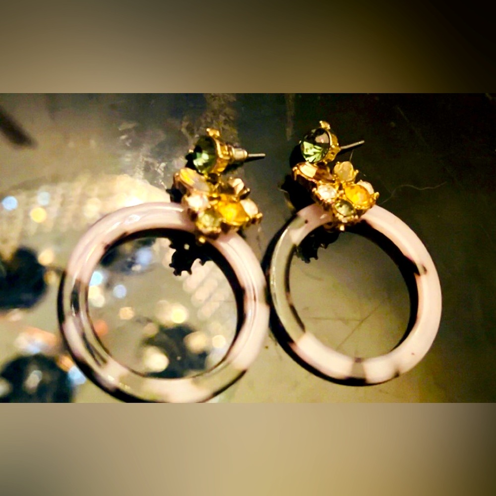 Bakelite Crystal Rocksbox Crystal circle dangle earrings